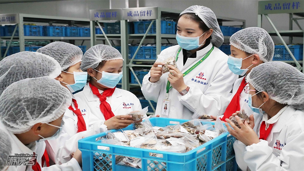 【游侠宝贝之小小医药师】2.25周日，关注健康，从娃娃抓起，做一回小中医，体验望闻问切，感受传统中医药魅力！（限收10组家庭，预报从速！）