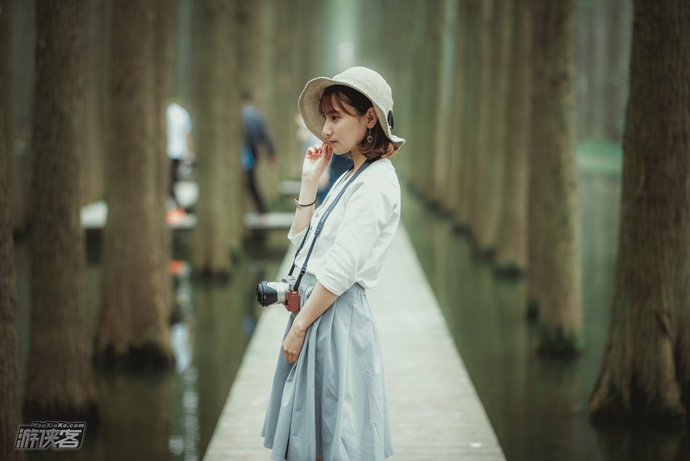 【千垛花开】4月,感溱潼古镇之韵,摄水上森林白鹭,赏兴化水上油菜花海之美,2日风光摄影团