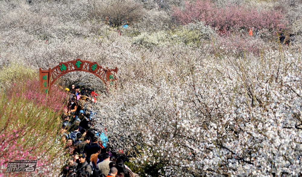 【太湖赏梅】2-3月,徒步穿越苏州光福三尖,赏乾隆六赴赏梅踏春地--香雪海(单日赏花徒步·女神节)