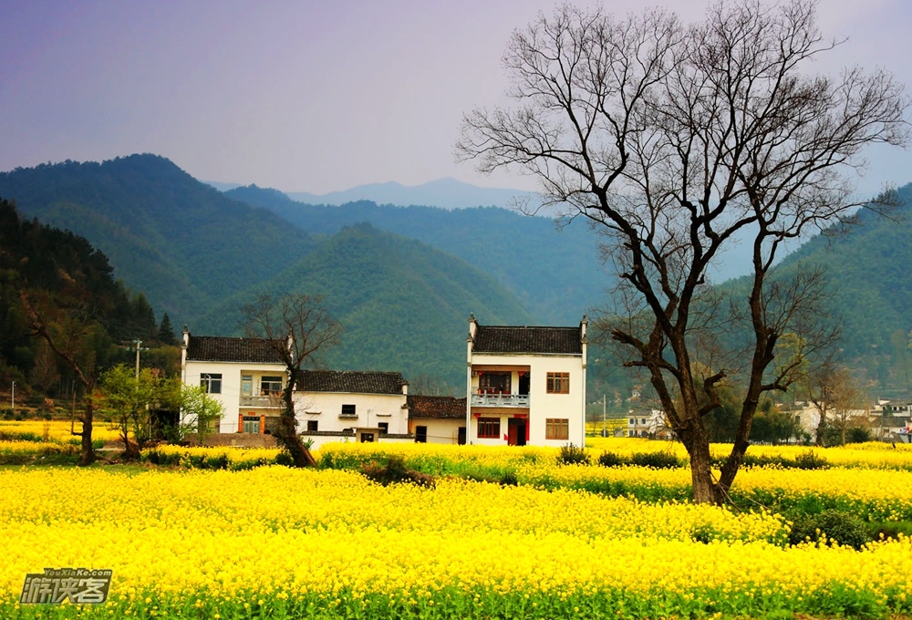 【皖南花事】3.22-24 品宏村世遗文化  行走油菜花海，登道教丹霞齐云山 俯瞰新安花田（九江集合火车团）
