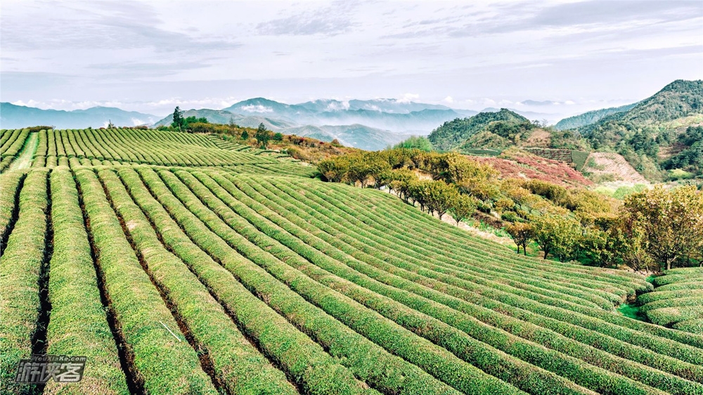 【游侠宝贝·鹿亭乡踏春】五一假期，带娃徒步大岚秘境，登顶狮峰台看四明山，晨雾览姚江源头采高山茶+制作梁弄大糕+寻觅迷你火焰山