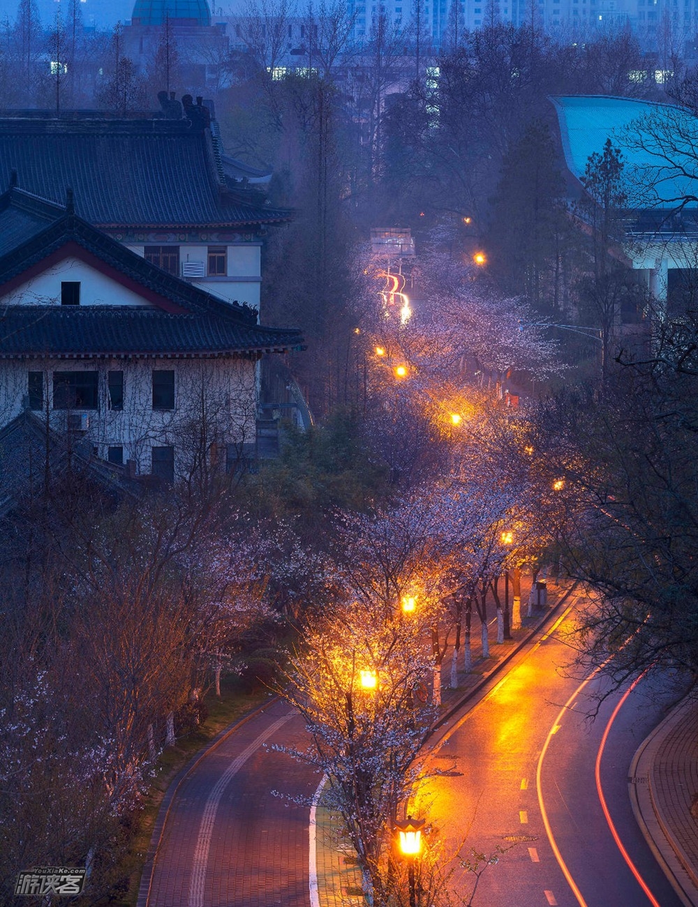 【都市游侠·夜行】3.29周四，夜游鸡鸣寺，玄武湖吹湖风观夜景，狮子桥寻美食吃宵
