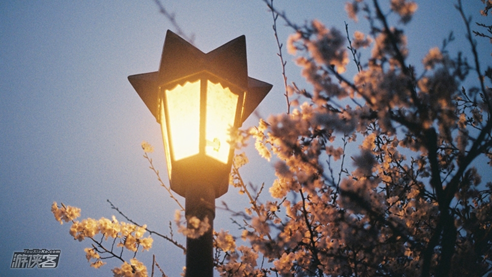 【都市游侠·夜行】3.29周四，夜游鸡鸣寺，玄武湖吹湖风观夜景，狮子桥寻美食吃宵