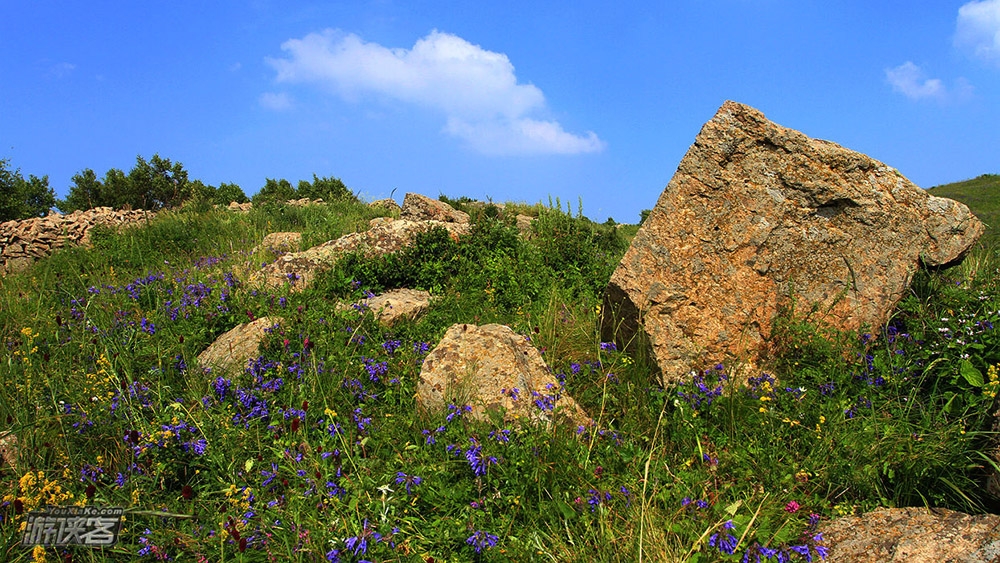 【马驹沟·鲜花季】6.21周日 夏日最美徒步线路 避暑圣地马驹沟 赏漫山野花-油菜花海-万亩原始草原-巨型风车阵-明长城遗迹 单日休闲活动