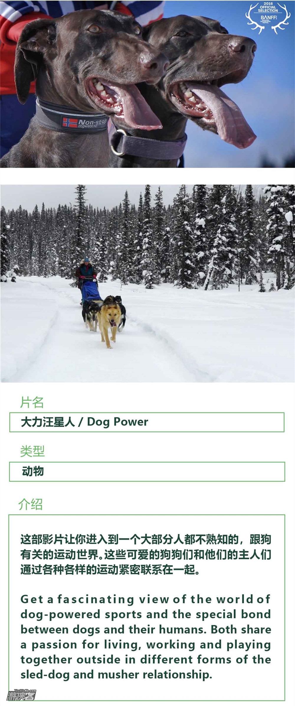 【班夫山地电影节门票】4.21周六，西湖越野跑节开幕，户外电影的奥斯卡，震撼人心的视觉盛宴，班夫电影节门票！