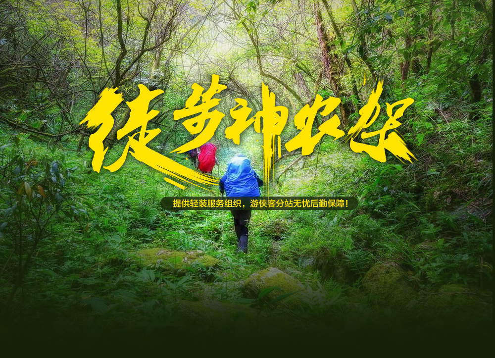【徒步神农架】2018.10-11月神农架秋景探索小分队！轻装神农架，挑夫伴你行；徒步无人区原始森林，穿越高山杜鹃林，漫步大九湖秘境5日徒步行（10-11月秋景正美！） - <徒步神农架>强大后勤保障，无需重装，无人区穿越，感受原始洪荒
