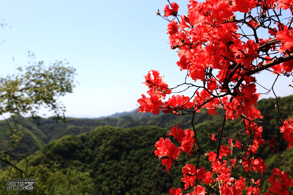 【浙中奇景】4.28,登临高姥山观“火烧山顶”,游榉溪古村探访孔氏后裔