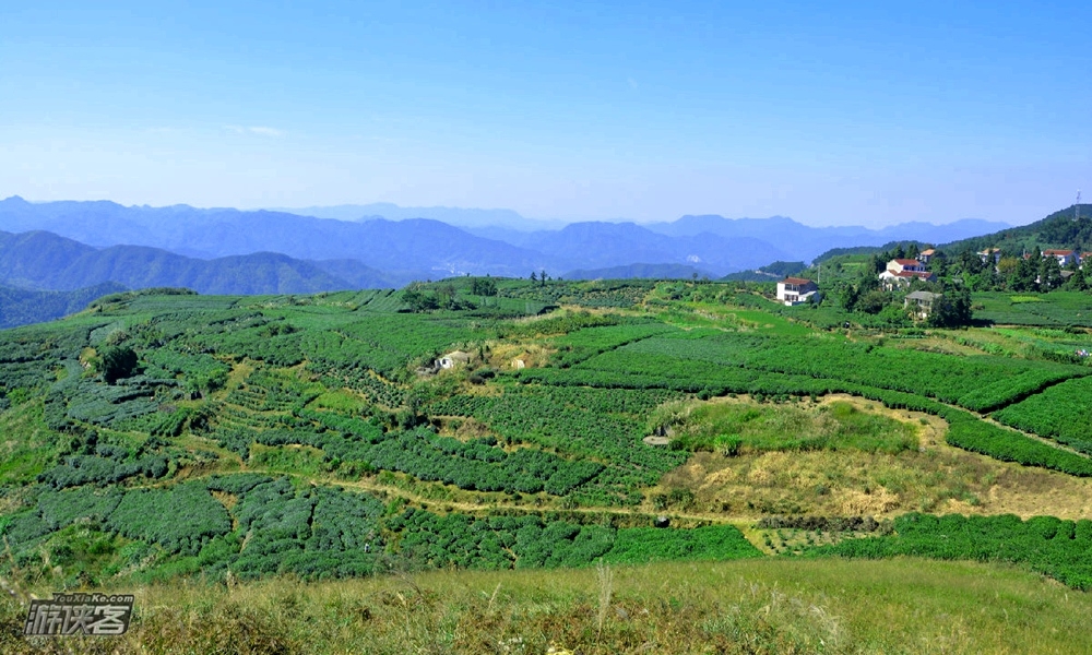 【特惠·秋徒孙家岭】11.10周日,徒步绍兴孙家岭-五百岗,登顶雄鹅峰,疾行秋色大尖山!探浙江腹地的高山草甸!浙江小武功山!(线路轻松周末徒步首选)