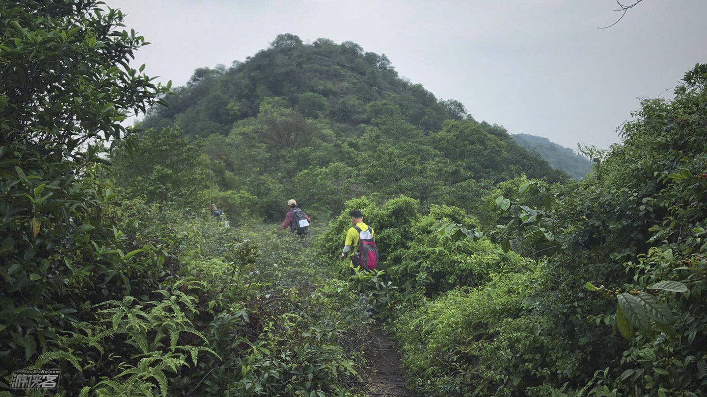 【高明茶山】4-5月:登顶茶山,山景农庄品美味的茶山柴火鸡,还有山泉泳池戏水(1日游)
