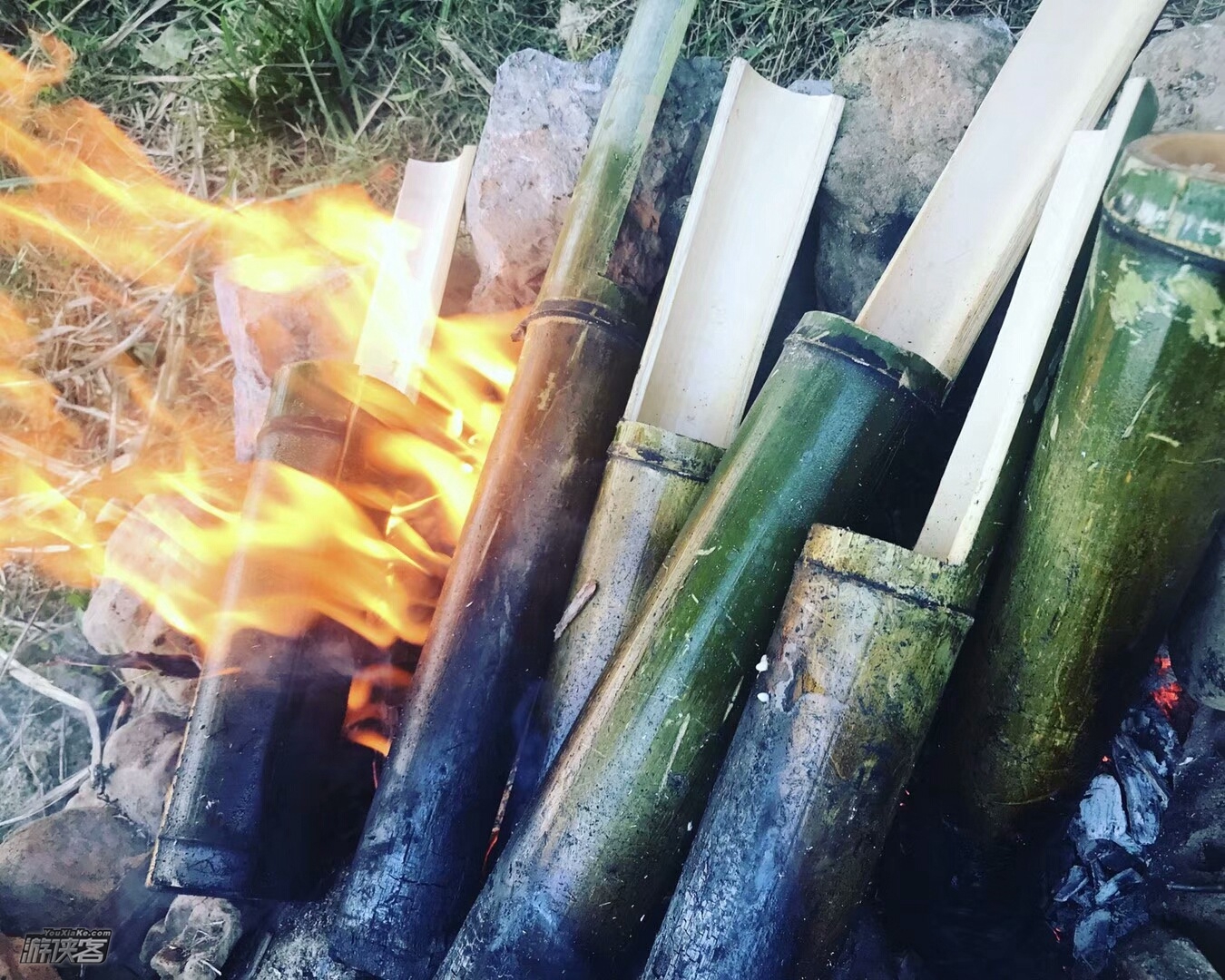 【“森林探险家”夏令营】小探险家来到山野,探索地心世界,溯溪寻找源泉,童军先锋工程,勇闯天涯勇攀高峰。挑战的不仅仅是体力上坚韧,更是对小探险家们心智上的磨练!(3日)