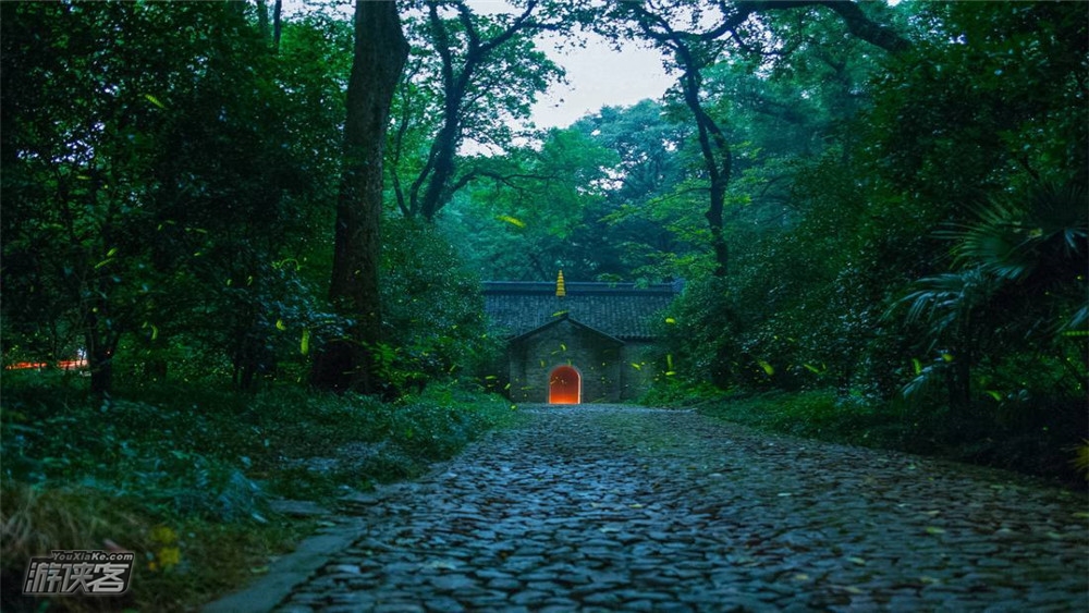 【下班去哪儿·夜行】7.17周三晚,在仲夏之夜的灵谷寺,静享一片现实版的萤火之森。(夏日夜行萤火虫特辑)