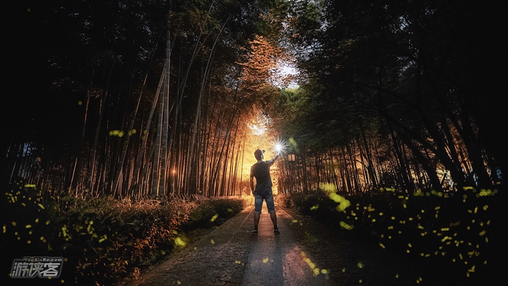 【自然课堂·神秘夜精灵】7月夏日的周末,徒步云栖竹径,夜闯神秘关卡,在黑暗的野外你是否还能沉着、冷静?勇者们,一起寻访夜精灵-追光者·萤火虫!(超特别的活动)