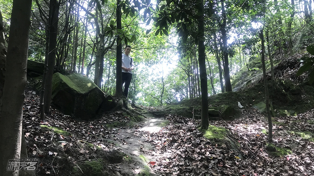 【户外修炼手册Ⅴ·南山B线】4.27周六,竞走野猪林,直上建文峰,穿越南山到南泉(重庆·免费城市徒步)