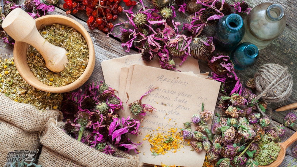 【游侠宝贝·教师节手作】9.8教师节礼物， 做一次小小老师，感受老师的不易，押花贺卡，卡通微型植物盆栽，彩绘布袋，给老师的一份特别礼物（半天）