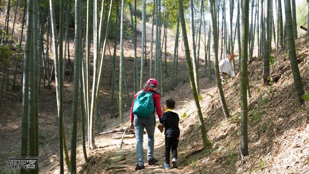 【湖州·天字古道】5.5五一假期,春暖花开踏古寻幽,行走湖州天字古道,竹海穿越,4月覆盆子采摘,探访天字寺(轻松休闲徒步)