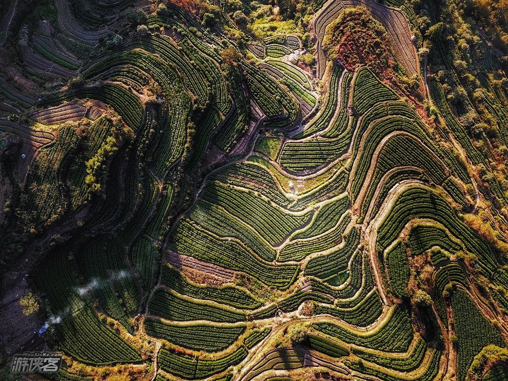 【高铁直达·云和松阳】2018国庆假期丽水集合,丽水古堰画乡采风油画,CNN评选地云和梯田收割金色麦穗,松阳大木山茶田骑行,带孩子漫寻瓯江上游最后的江南秘境
