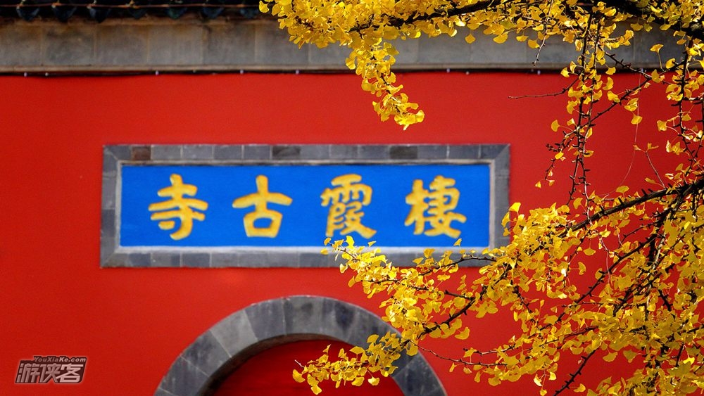 废【南京秋色·栖霞山】特期11-12月,栖霞山红枫节,赏江南秋色,访千年古刹,从凌云栈道到始皇临江,后山秘境寻小众红叶林。(2-10人VIP团)