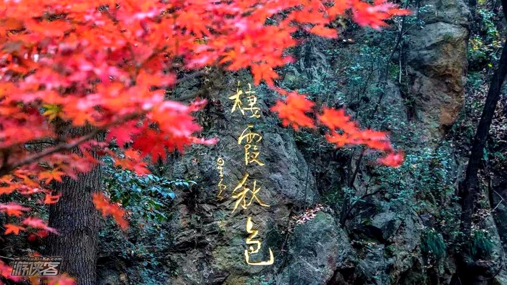 废【南京秋色·栖霞山】特期11-12月,栖霞山红枫节,赏江南秋色,访千年古刹,从凌云栈道到始皇临江,后山秘境寻小众红叶林。(2-10人VIP团)