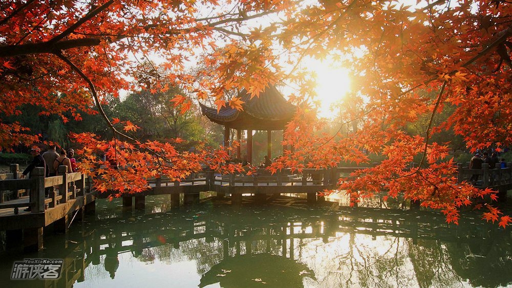 废【南京秋色·栖霞山】特期11-12月,栖霞山红枫节,赏江南秋色,访千年古刹,从凌云栈道到始皇临江,后山秘境寻小众红叶林。(2-10人VIP团)