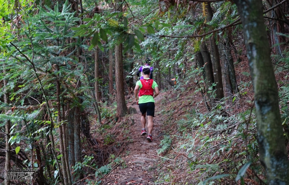 【免费·游侠越野 | 2019木兰秘境新年越野赛之赛前跑山备战】11.25周日下午，山间无畏，天生敢跑，相约喻家山