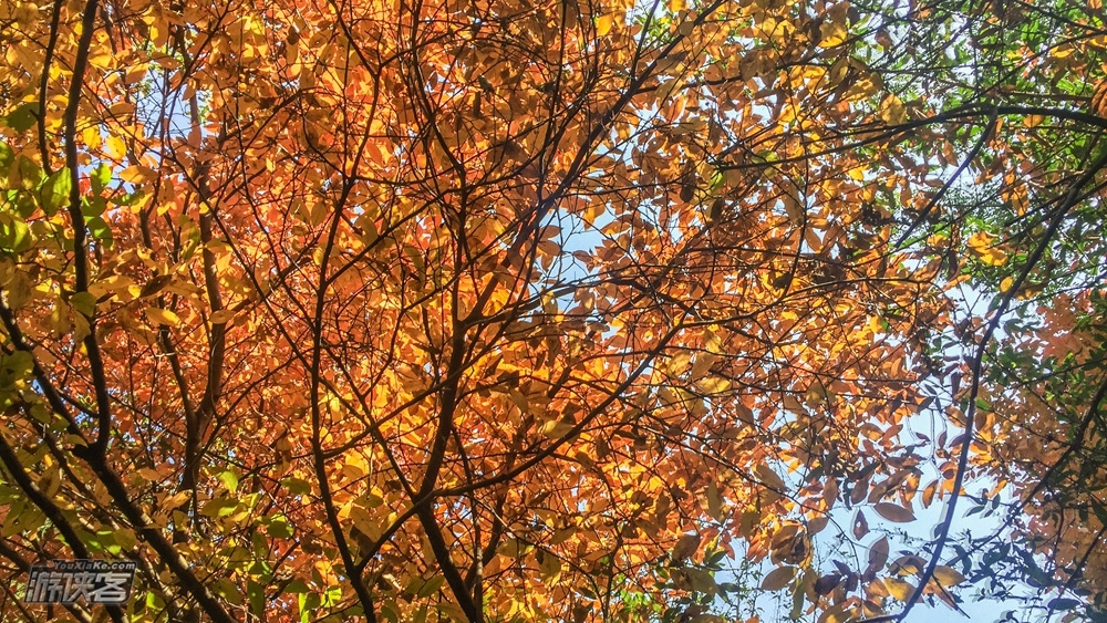 【特惠·棺材山】10.6已满，登高远望，寻访古老城堡，黄陂棺材山，转运风水宝地