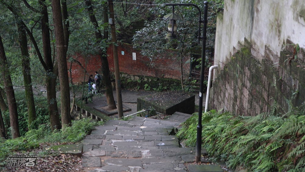 【户外修炼手册Ⅴ·南山B线】4.27周六,竞走野猪林,直上建文峰,穿越南山到南泉(重庆·免费城市徒步)