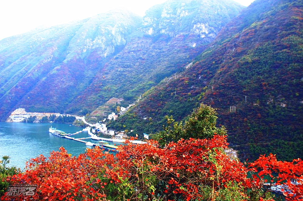 【三峡红叶徒步】11-12月，待到满山红叶时，徒步巫峡神女天路，住江景农家，船游神女溪，最美三峡秋色2日徒步