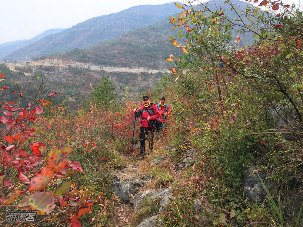 【三峡红叶徒步】11-12月，待到满山红叶时，徒步巫峡神女天路，住江景农家，船游神女溪，最美三峡秋色2日徒步