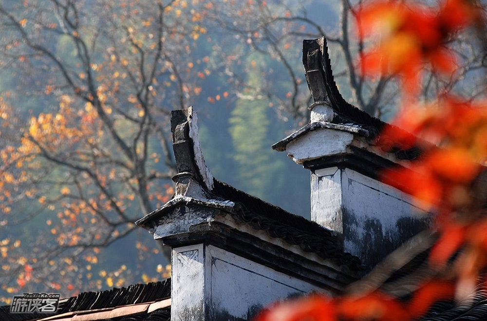 玩转 · 婺源秋色 | 2天休闲游(入住婺女洲)