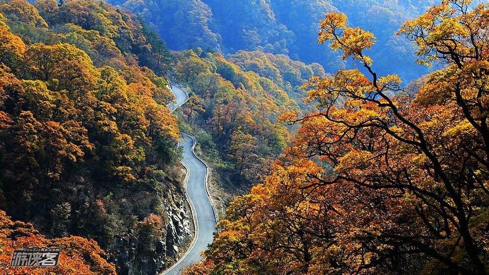【探秋·马鬃岭】11月，挺进大别山，深入奇幻森林马鬃岭，穿越幽静深邃大峡谷，行走原始森林栈道，勇攀国家健身步道，感受北纬31度的神秘与惊艳（秋色休闲2日游，四人成行，大胆报名）