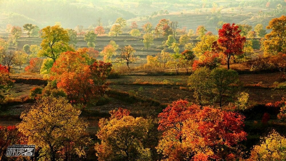 【探秋·马鬃岭】11月，挺进大别山，深入奇幻森林马鬃岭，穿越幽静深邃大峡谷，行走原始森林栈道，勇攀国家健身步道，感受北纬31度的神秘与惊艳（秋色休闲2日游，四人成行，大胆报名）