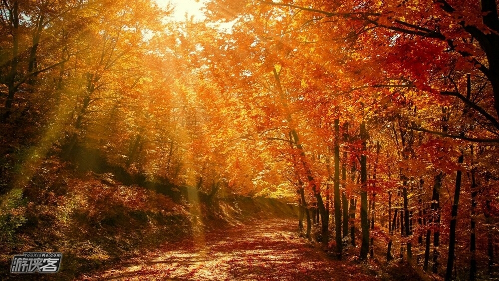 【探秋·马鬃岭】11月，挺进大别山，深入奇幻森林马鬃岭，穿越幽静深邃大峡谷，行走原始森林栈道，勇攀国家健身步道，感受北纬31度的神秘与惊艳（秋色休闲2日游，四人成行，大胆报名）