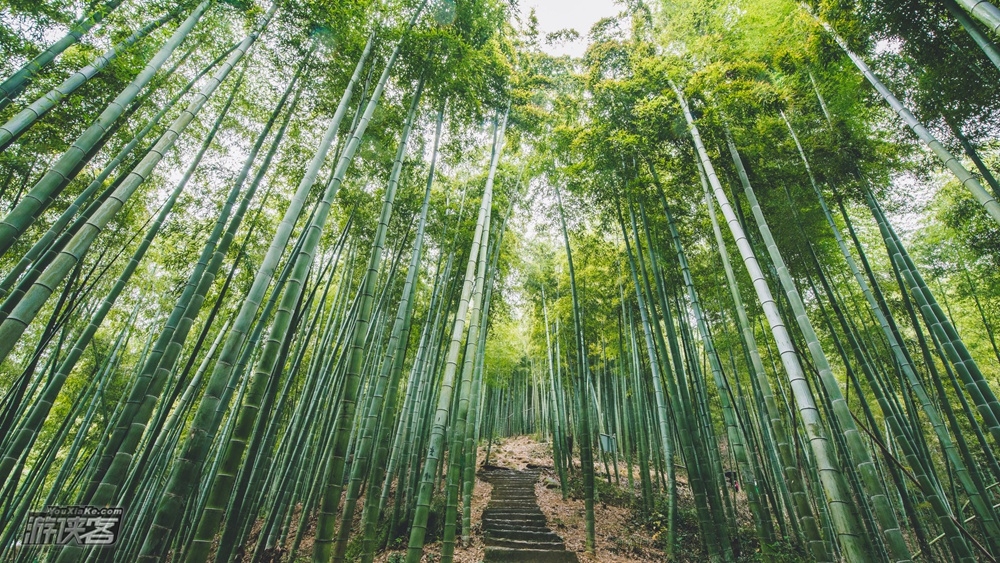 无锡出发·三洲古道丨一日踏三省,美景、古迹、史蕴