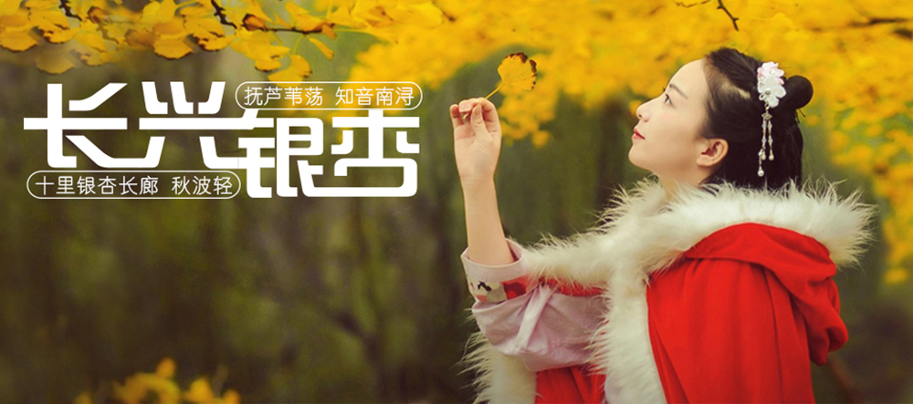【江南古风人像】11.16-11.17 华东最美秋色人像，两个主题人像拍摄，南浔古镇风光，十里银杏画廊，江南秋色环境人像，风光2日创作团 - <江南秋色>独家人像线路，全新加入专为江南地区设计的”银杏古风“人像主题，人气游女郎出镜