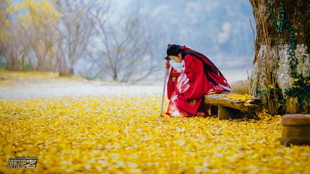 【江南古风人像】11.16-11.17 华东最美秋色人像，两个主题人像拍摄，南浔古镇风光，十里银杏画廊，江南秋色环境人像，风光2日创作团
