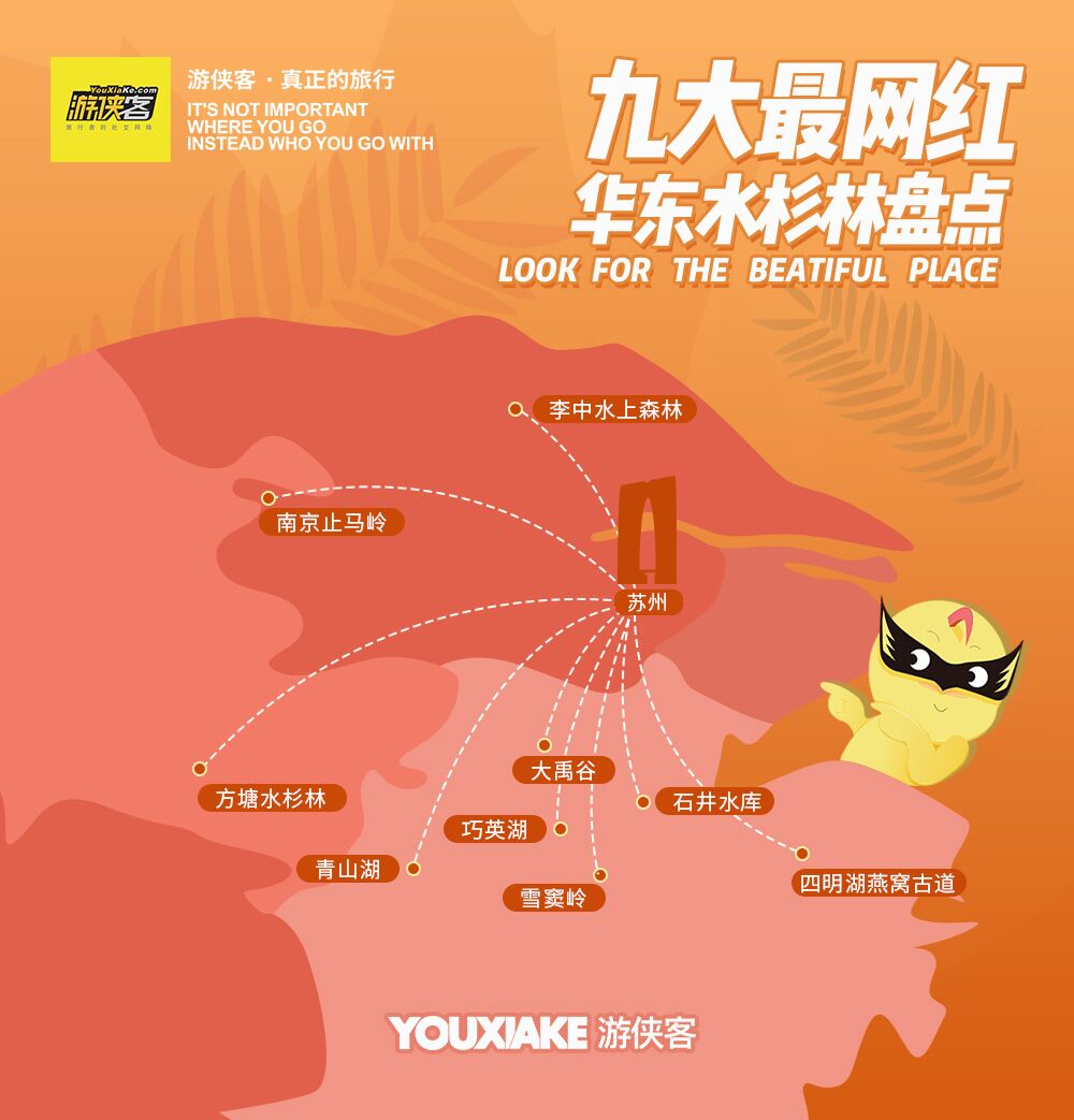 无锡出发·秋行大禹谷丨私藏美景，单日徒步赏景！ - 长乐林场红杉枫香丨单日赏秋轻户外线路丨隐秘在余杭山间的绚烂秋色丨老少皆宜，游玩方式多样丨赏秋佳季，迅猛把握！