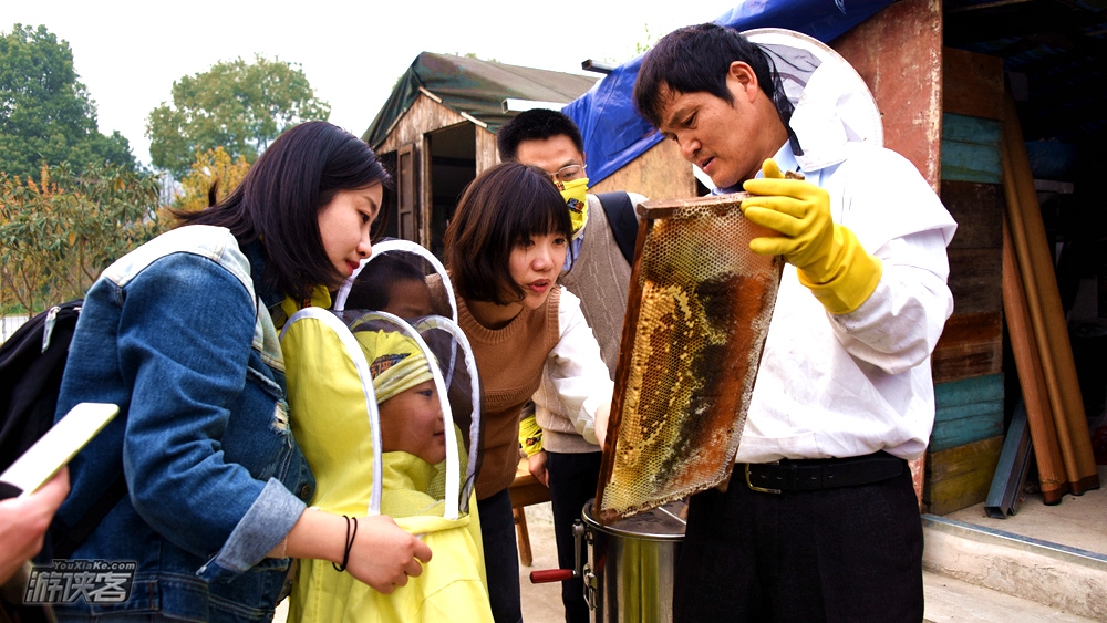 【游侠宝贝-勤劳的小蜜蜂】6.1儿童节,穿上蜜蜂防护衣,跟着蜂农伯伯去采蜜,探索神奇的蜜蜂王国,蜂蜜手工DIY、蜜蜂实验室、蜜蜂大影院~
