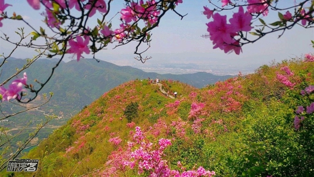 【越野追风徒系列|2019百里杜鹃黄龙山越野赛】4.21周日，40/20/10km，全年系列季赛——春季赛，专为越野跑爱好者打造的文艺小美赛事（名额已满）