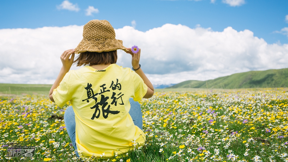 俄木塘花海两日 国内草原花海天花板(联合发团)