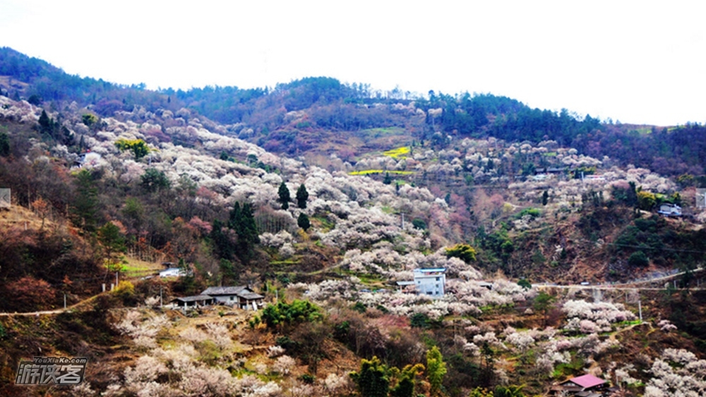【春天花事·平通梅花林】2.21周日 游侠客开年春天花事,与你相约万亩梅林,感觉花海世界,踏春单日之旅