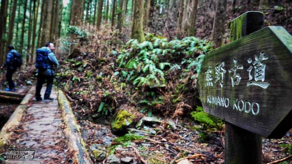 游侠风·第一届熊野古道徒步大会|11.22启幕
