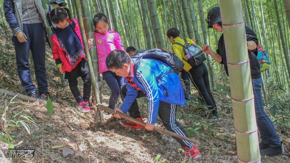 【游侠宝贝·梅坑竹林】4.5名额已满,一起穿梭于竹海之间,挖竹笋,DIY竹筒饭,彩绘笔筒,趣味寻宝,变身乡村小捣蛋!(精品小团,限收8组家庭)