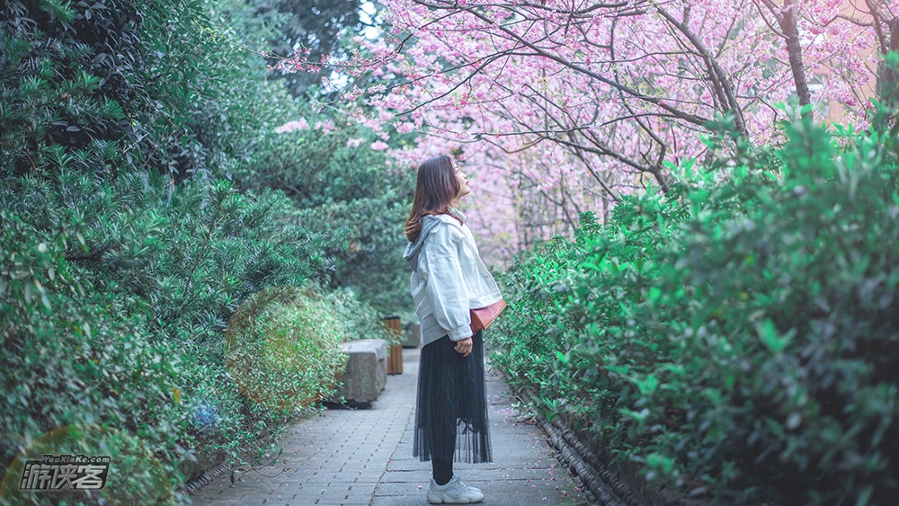 重庆旅拍·涂鸦街丨涂鸦街，交通茶馆，川美小铁路