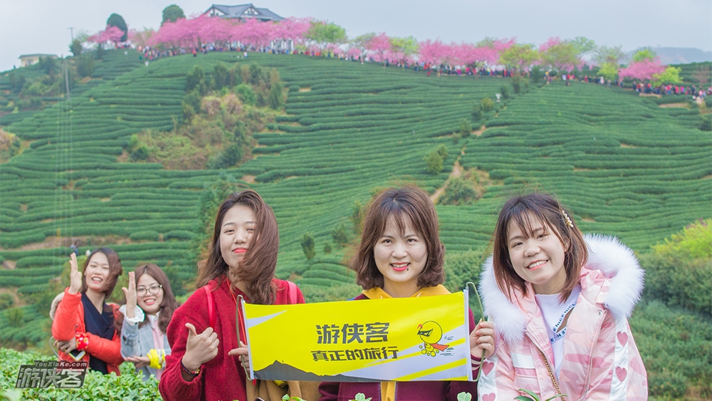 春天花事 | 福建永福樱花散拼1日游