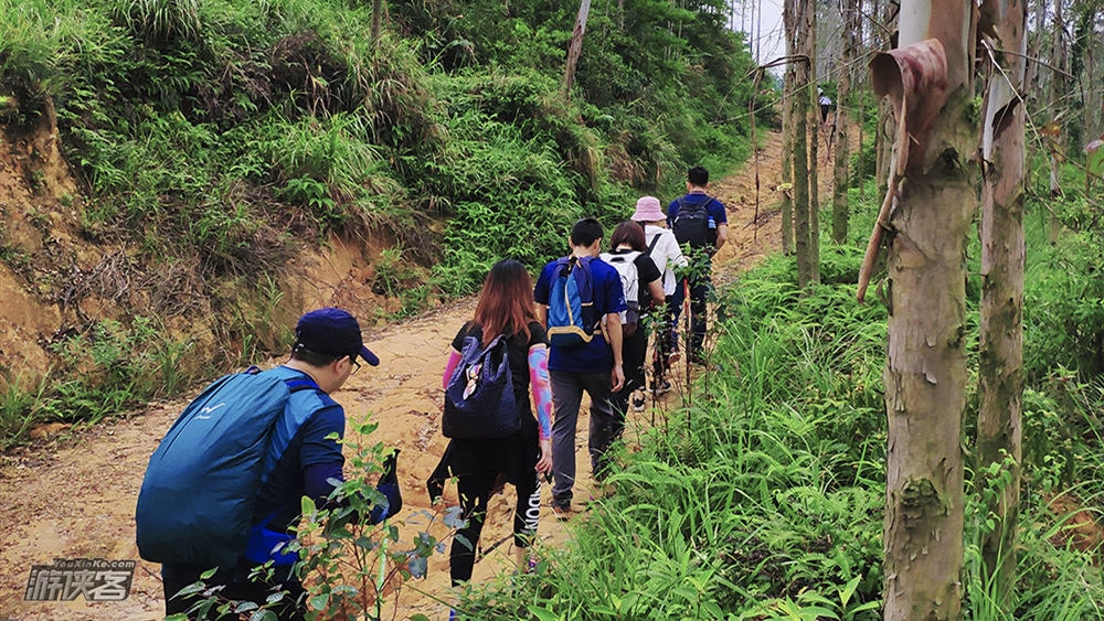 【寻味-茶山】7.18周六: 登高明茶山,寻味特色柴火鸡煲,感受舌尖上的美味!