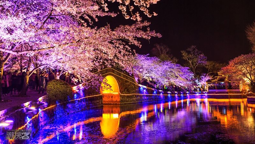 樱の鼋头渚|鼋头渚樱花季,粉色浪漫拈花湾