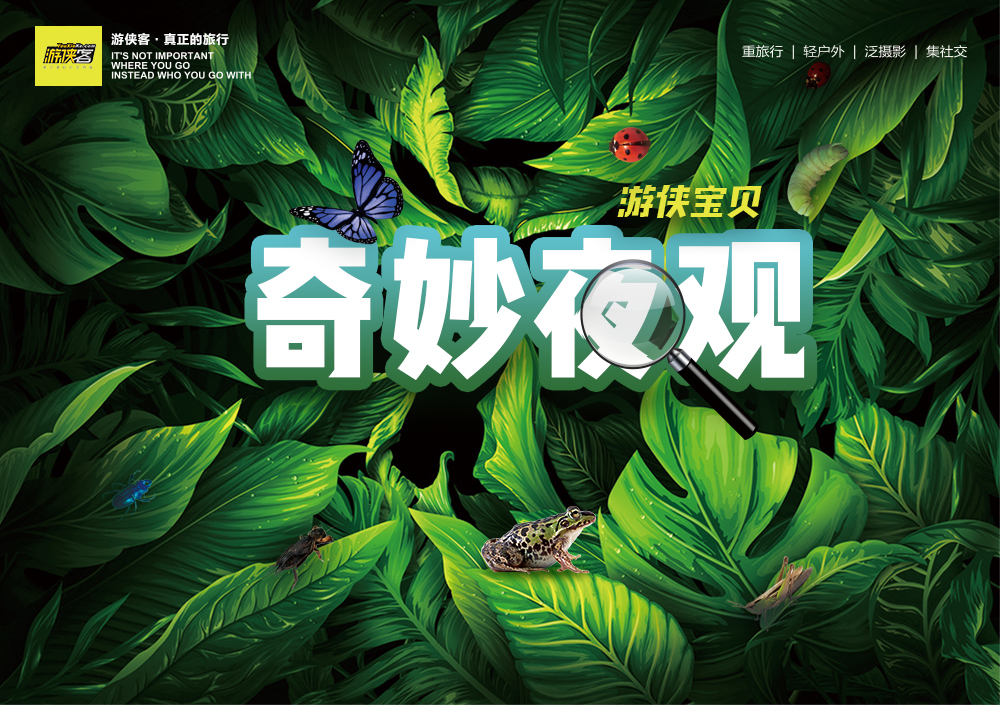 【奇妙夜观-鸣虫合唱团】9.12周日晚，下马坊公园，秋日鸣虫合唱团已出道，昆虫大神老师带队，开启趣味森林探索，手拉手盲行体验，昆虫知识小科普，学习灯诱（同城亲子） - 自然探索会，植物观察，鸣虫派对，初秋夜晚的奇妙展开~