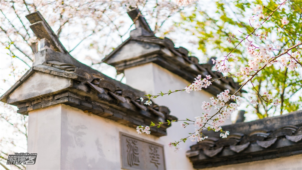 【独揽鼋头渚·樱花2日】4.6-7清明假期,“樱”你而来,拈花湾网红5钻客栈,夜樱水灯会,花季限定体验,2019独揽鼋头渚全新升级体验,独家赠送和风风铃&导游讲解(无锡火车站大巴接送,确定成行!)