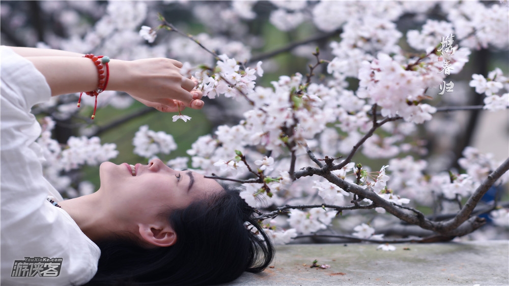 【独揽鼋头渚·樱花2日】4.6-7清明假期,“樱”你而来,拈花湾网红5钻客栈,夜樱水灯会,花季限定体验,2019独揽鼋头渚全新升级体验,独家赠送和风风铃&导游讲解(无锡火车站大巴接送,确定成行!)