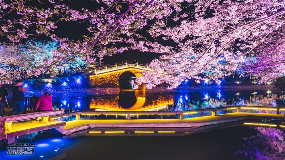【独揽鼋头渚·樱花2日】4.6-7清明假期,“樱”你而来,拈花湾网红5钻客栈,夜樱水灯会,花季限定体验,2019独揽鼋头渚全新升级体验,独家赠送和风风铃&导游讲解(无锡火车站大巴接送,确定成行!)